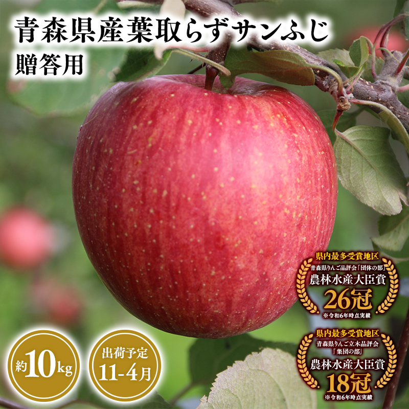 2025年産11月〜4月発送 贈答用葉とらずサンふじ10kg 【そと川りんご園・11月・12月・1月・2月・3月・4月・青森県産・平川市・りんご・葉とらずサンふじ・10kg・贈答用