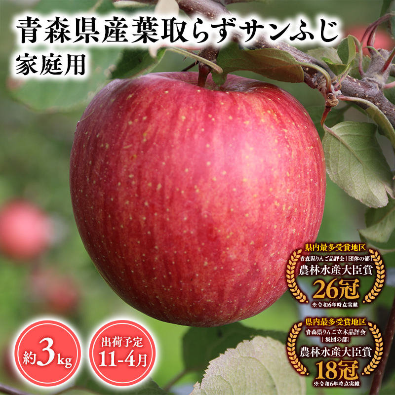 2025年産11月〜4月発送 【訳あり】家庭用葉とらずサンふじ3kg 【そと川りんご園・11月・12月・1月・2月・3月・4月・青森県産・平川市・りんご・葉とらずサンふじ・3kg