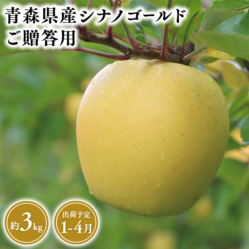 2025NY P`S@pVimS[h3@yƐ񂲉EPEQERESEXYEsE񂲁EVimS[hE3EpzXs14000ʕE