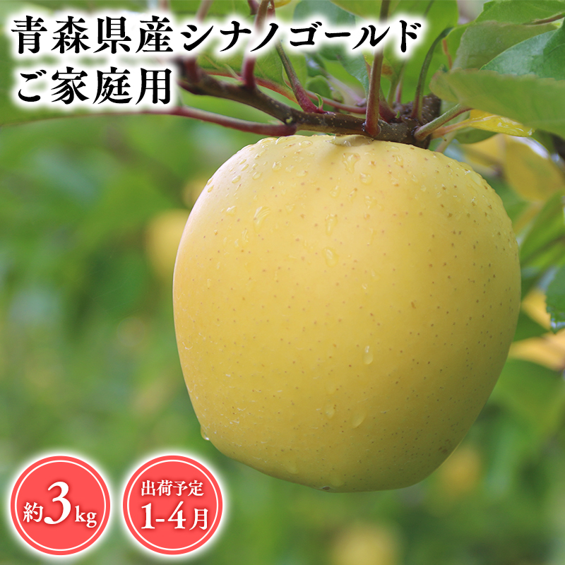 2025年産 1月〜4月発送 【訳あり】家庭用シナノゴールド3kg 【そと川りんご園・1月・2月・3月・4月・青森県産・平川市・りんご・シナノゴールド・3kg・訳あり・家庭用】青