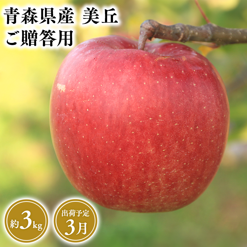 2025年産 3月発送 贈答用美丘3kg【青森県 平川市 そと川りんご園】3月発送 贈答 青森 青森県産 平川 りんご リンゴ 林檎 くだもの 果物 フルーツ青森県平川市17000果物・フルーツりんご・