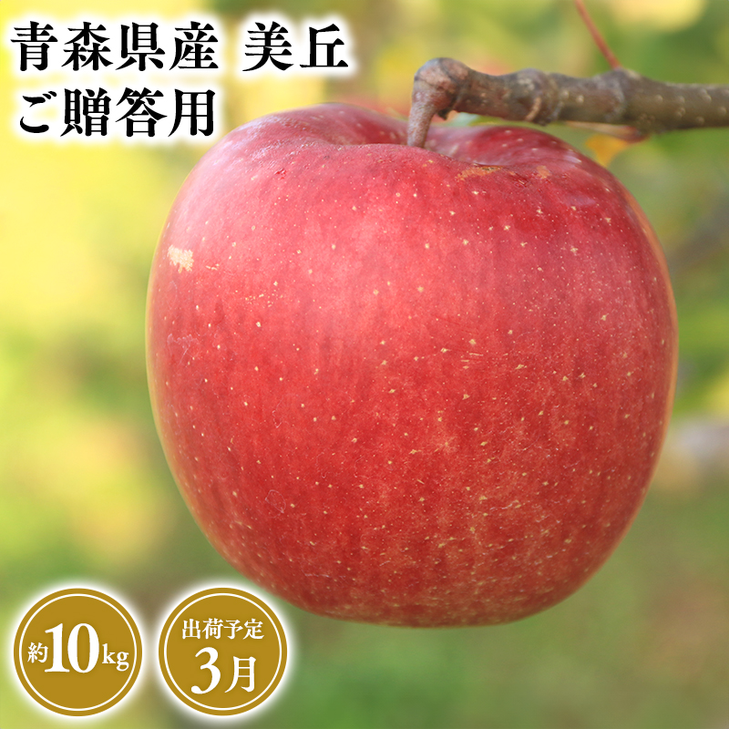 2025年産 3月発送 贈答用美丘10kg【青森県 平川市 そと川りんご園】3月発送 贈答 青森 青森県産 平川 りんご リンゴ 林檎 くだもの 果物 フルーツ青森県平川市46000果物・フルーツりんご・