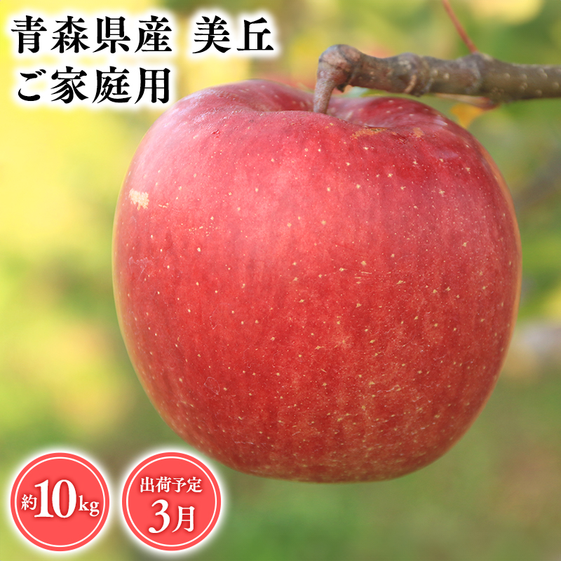 2025年産3月発送 【訳あり】家庭用美丘10kg【青森県 平川市 そと川りんご園】3月発送 家庭用 りんご リンゴ 林檎 くだもの 果物 詰め合わせ 旬 フルーツ 3月 青森県産 青森青森県平川市33