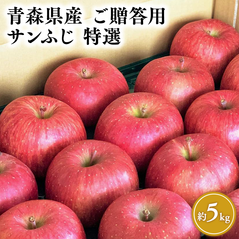 3月発送 【特選】サンふじ5kg【りんご・青森・平川・特選・宮川商店・11月・12月・1月・2月・3月・4月】青森県平川市25000果物・フルーツりんご・梨