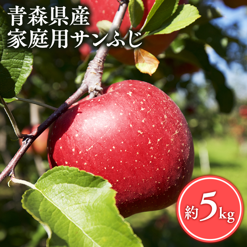 【2月発送】家庭用サンふじ5kg【丸勝木村商店・青森りんご】青森県平川市16000果物・フルーツりんご・梨