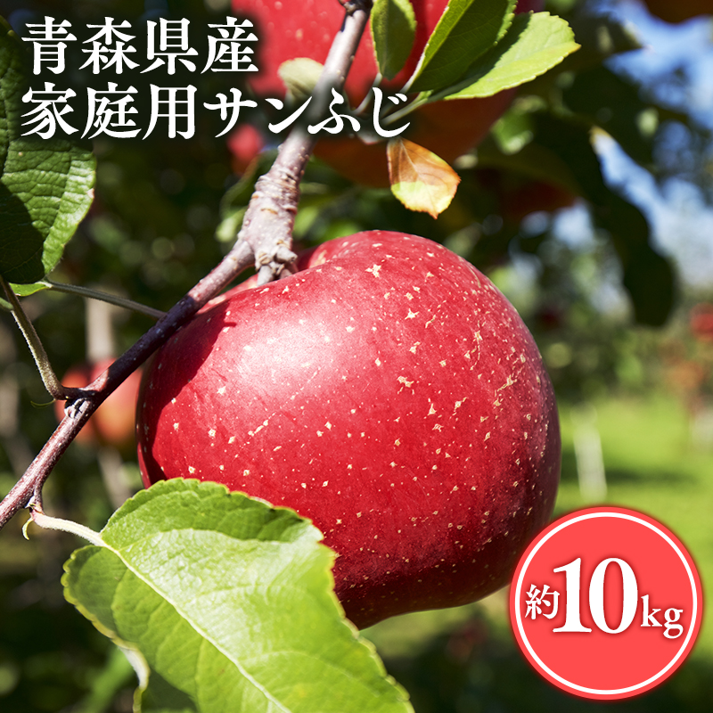 【3月発送】家庭用サンふじ10kg【丸勝木村商店・青森りんご】青森県平川市24500果物・フルーツりんご・梨
