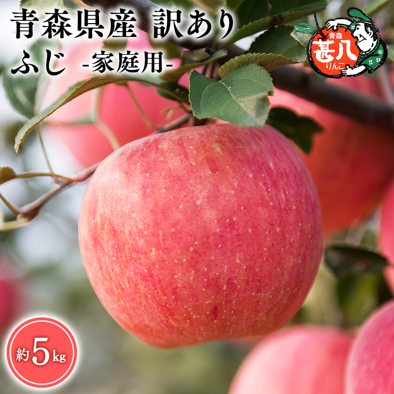 T`V@󂠂@ƒp@r񂲂ӂ5kg@y}WTAbv@5@6@7@XY@s@񂲁@ӂ@5kg@󂠂@ƒpzXs19500ʕEt[c