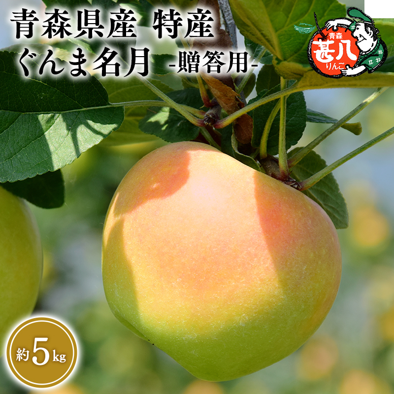 11月発送 特選 甚八りんごぐんま名月5kg 【マルジンサンアップル 11月 青森県産 平川市 りんご ぐんま名月 5kg 特選 贈答用】青森県平川市21000果物・フルーツりんご・梨