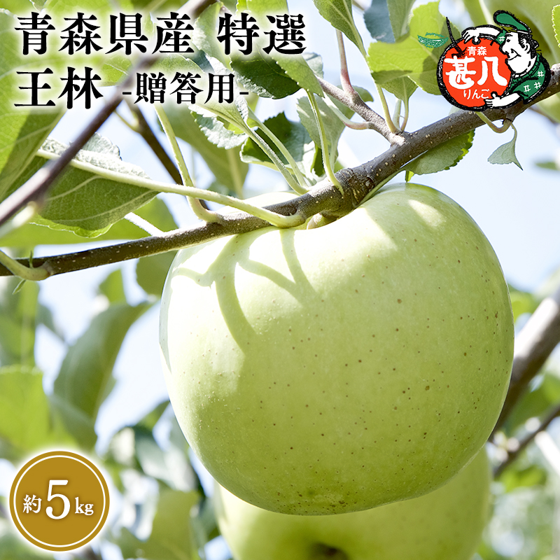 y5`UzXY I r  5kg N[ցy}WTAbvzX XY   S ь  ʕ t[cXs22000ʕEt[c