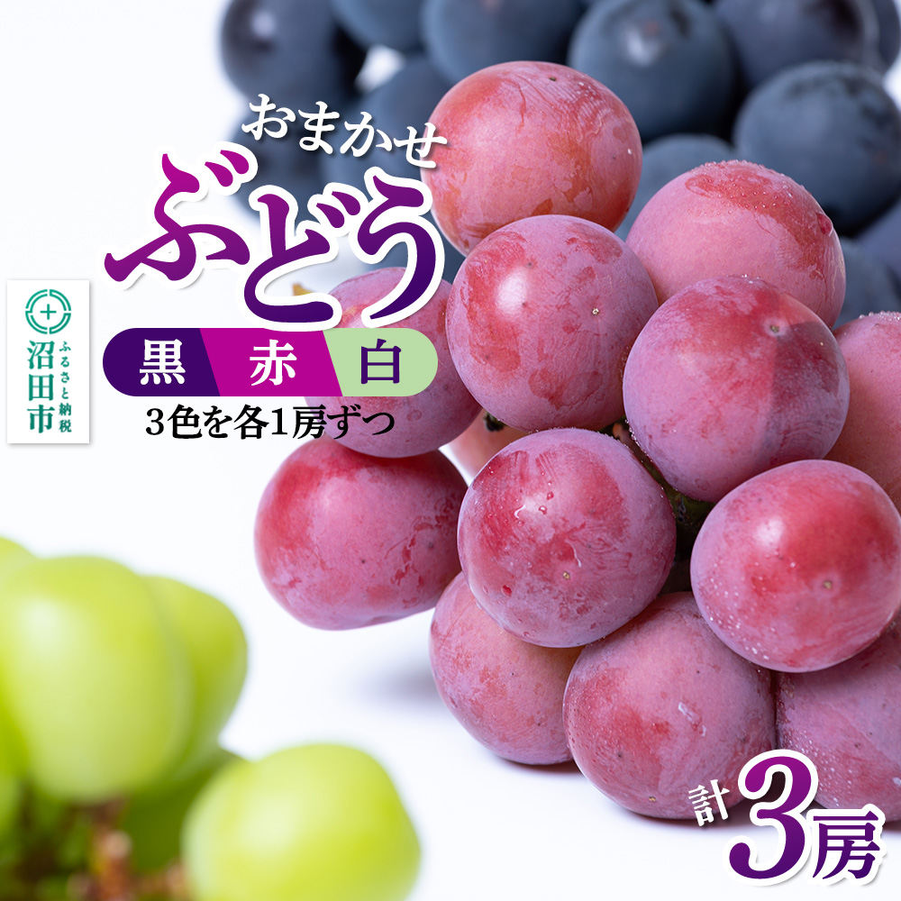 csY Ԃǂ 3[ZbgiEԁE^e1[jԂǂ_ Ee[Qncs24000ʕEt[c