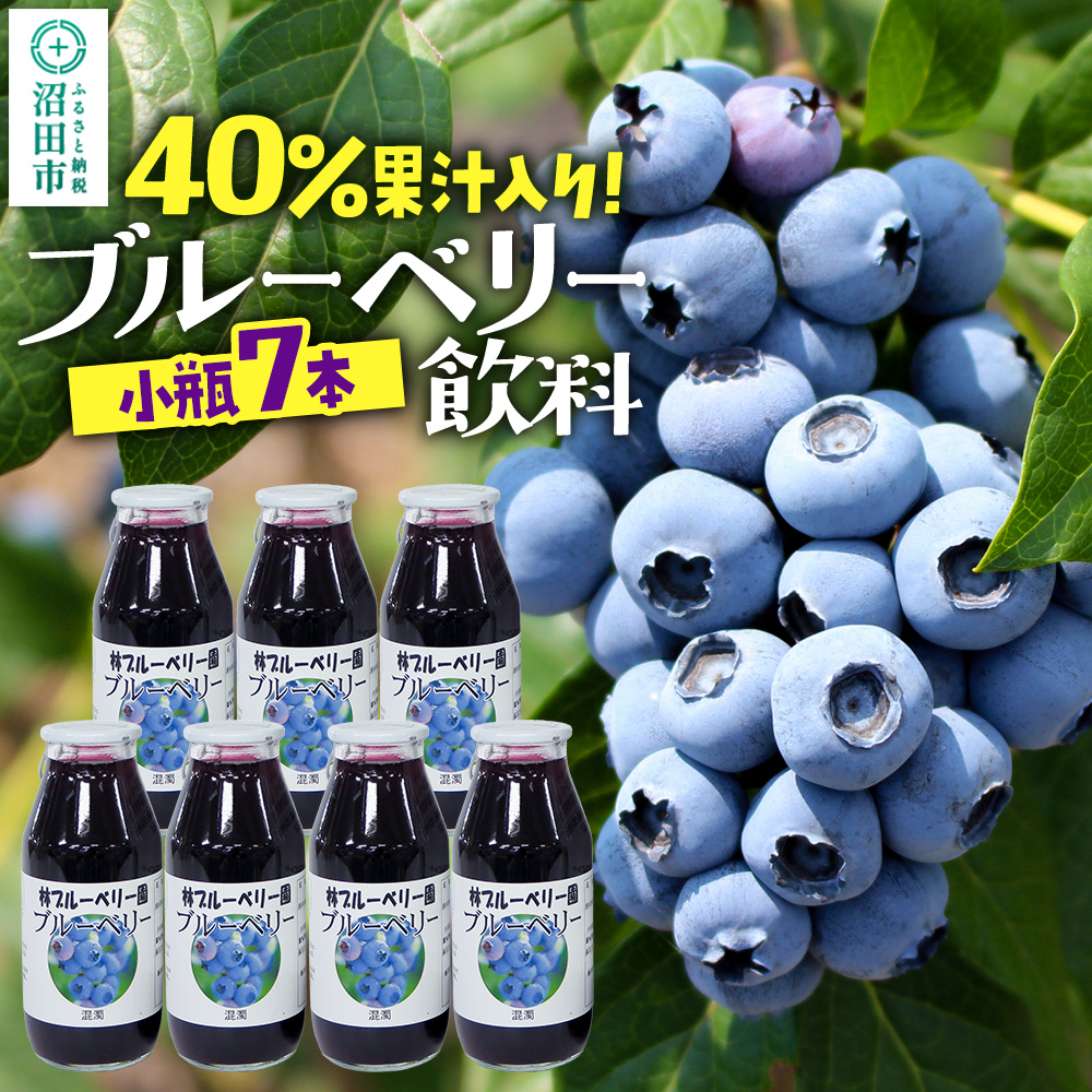 40%果汁入り ブルーベリー飲料 180ml×7本セット群馬県沼田市10000お茶・飲料