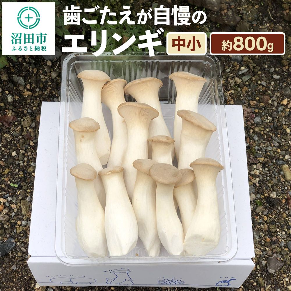 歯ごたえが自慢のエリンギ 中小 約800g群馬県沼田市5000野菜・きのこ