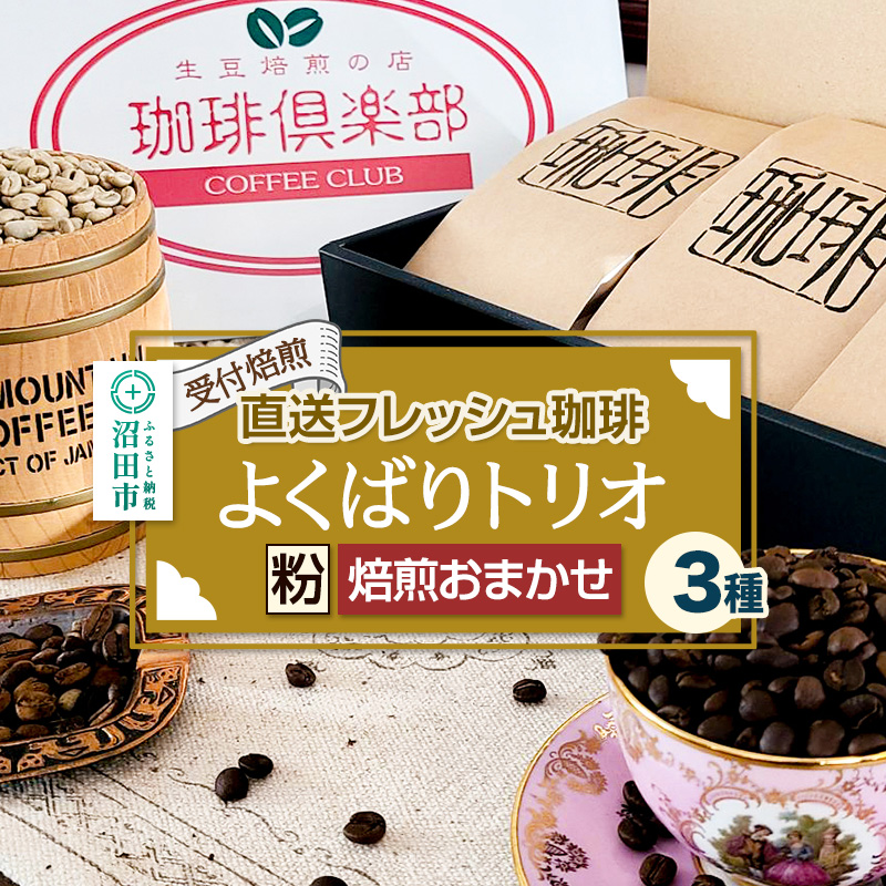 《受付焙煎》直送フレッシュ珈琲 よくばりトリオ【粉/焙煎度合いの指定はできません】各200g×3種 計600g 珈琲倶楽部 沼田店群馬県沼田市35000お茶・飲料