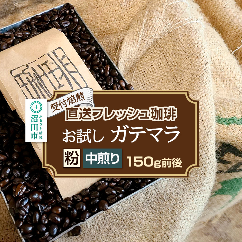 《受付焙煎》直送フレッシュ珈琲 お試し ガテマラ【粉/中煎り】約150g 珈琲倶楽部 沼田店群馬県沼田市7000お茶・飲料