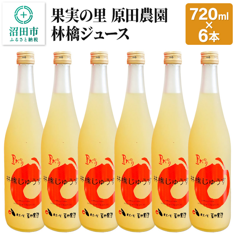 果実の里 原田農園 林檎ジュース 720ml×6本 りんごジュース ストレート100%果汁群馬県沼田市16000お茶・飲料