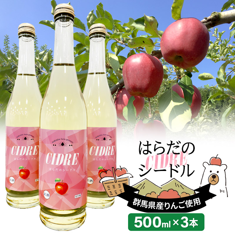 ʎ̗ c_ ͂炾̃V[h 500ml×3{Qncs20000EAR[