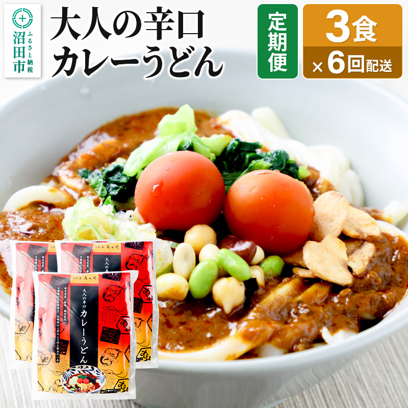 《定期便6回》みのや 大人の辛口カレーうどん 3食セット群馬県沼田市79000麺