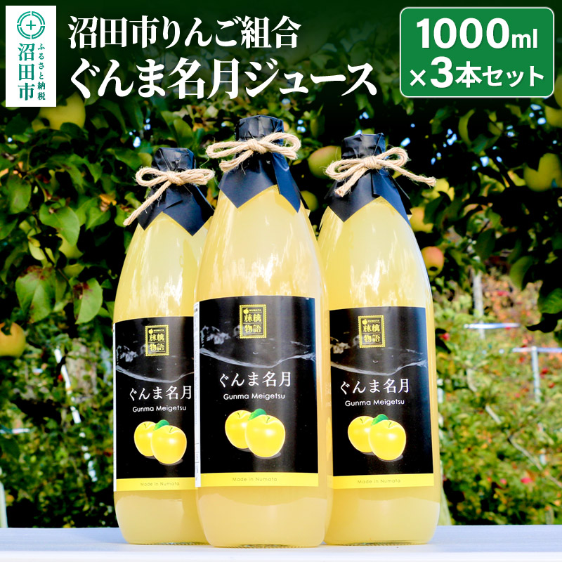 《2025年1月中旬以降発送》沼田市りんご組合 ぐんま名月ジュース(ストレート)1000ml×3本セット群馬県沼田市10000お茶・飲料