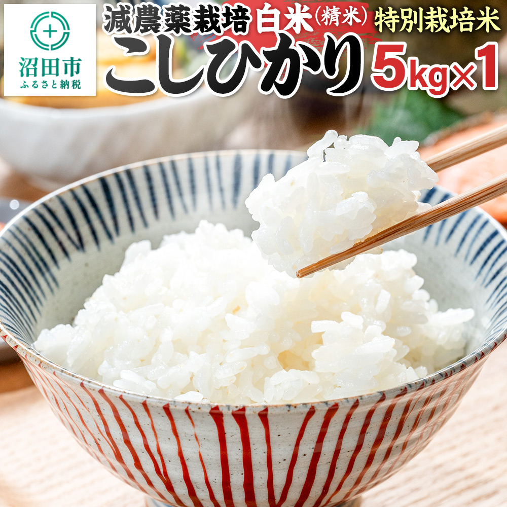 令和7年産 沼田市産 特別栽培米こしひかり 白米 5kg 奥利根自然菜園群馬県沼田市24000米・パン白米