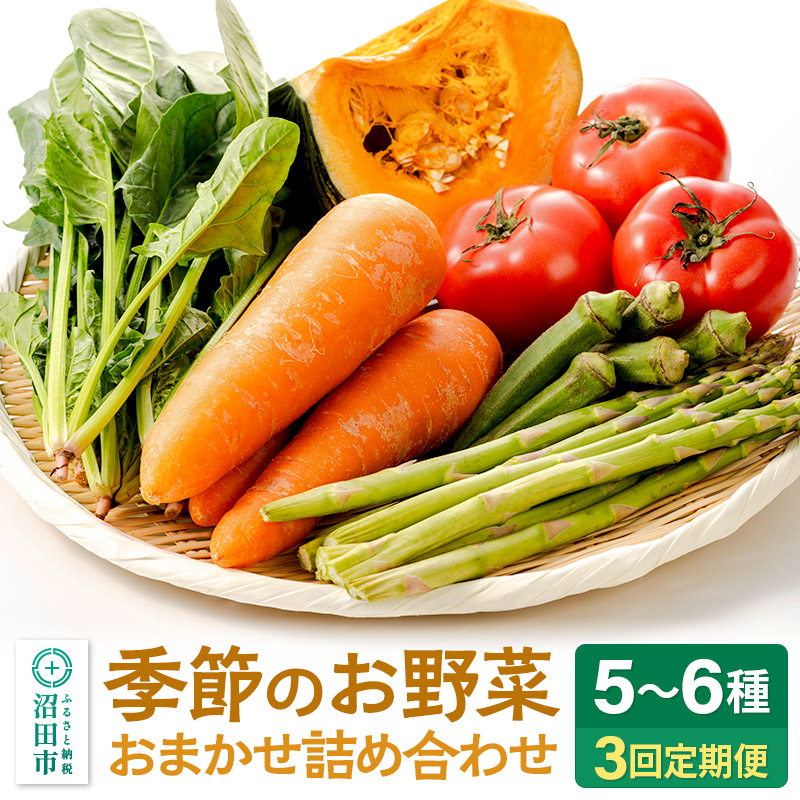 季節のお野菜 おまかせセット 季節ごとの3回お届け 定期便(1回あたり5〜6種類)詰め合わせ群馬県沼田市19000野菜・きのこ