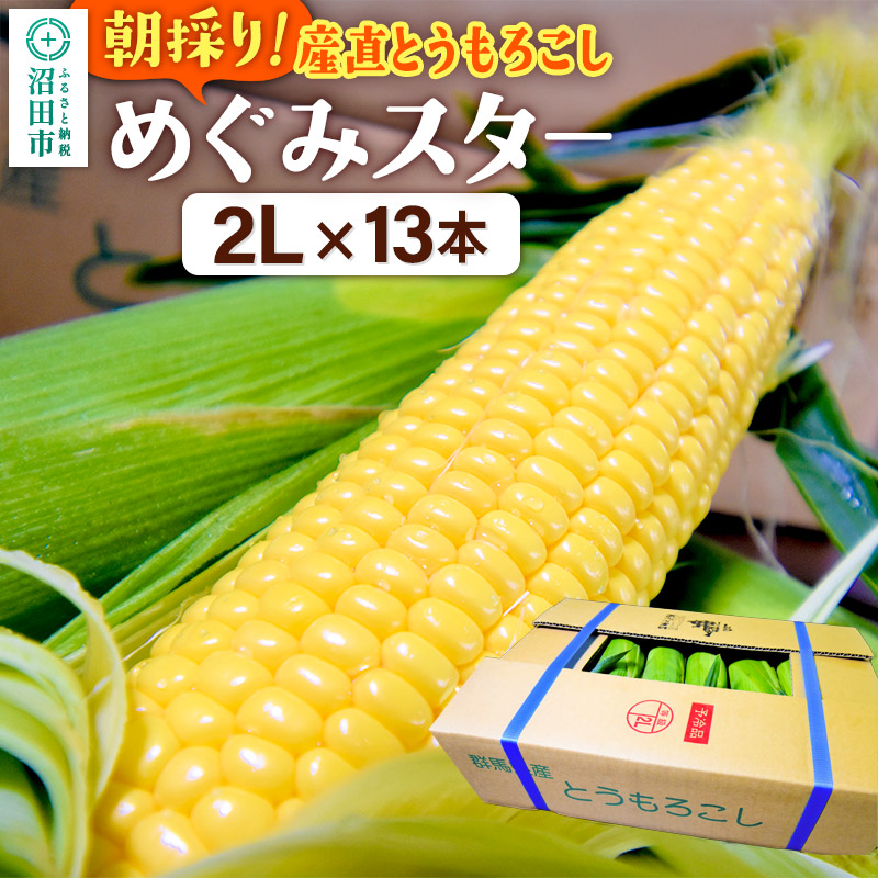 《8月上旬〜下旬発送》朝採りとうもろこし めぐみスター 2Lサイズ13本【群馬県沼田市利根町産】群馬県沼田市13000野菜・きのこ