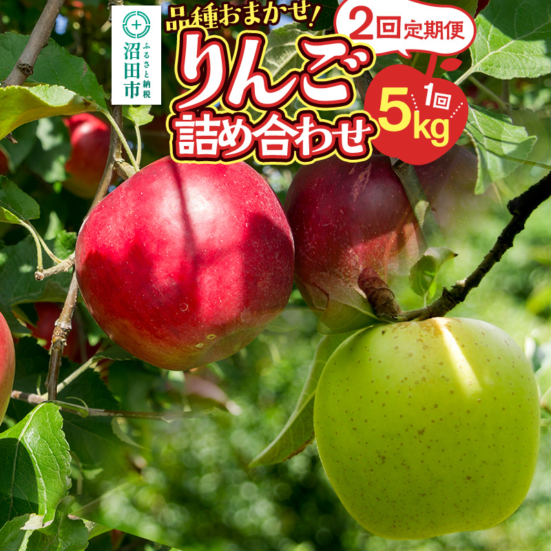 《11月上旬・11月下旬発送》定期便 品種おまかせ りんご詰め合わせ 1種5kg×2回 真田りんご園群馬県沼田市30000果物・フルーツ