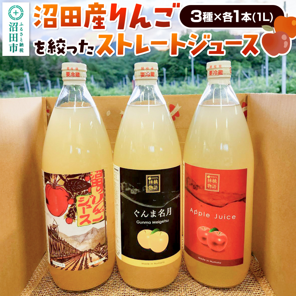 沼田産りんごを搾ったストレートリンゴジュース 3種×各1本 計3本セット 真田りんご園群馬県沼田市12000お茶・飲料