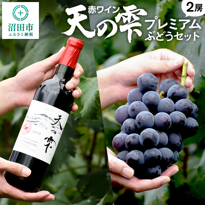 ԃCuV̎v1{ƃv~AԂǂ2[Zbg 䂽ԂǂQncs45000ʕEt[c