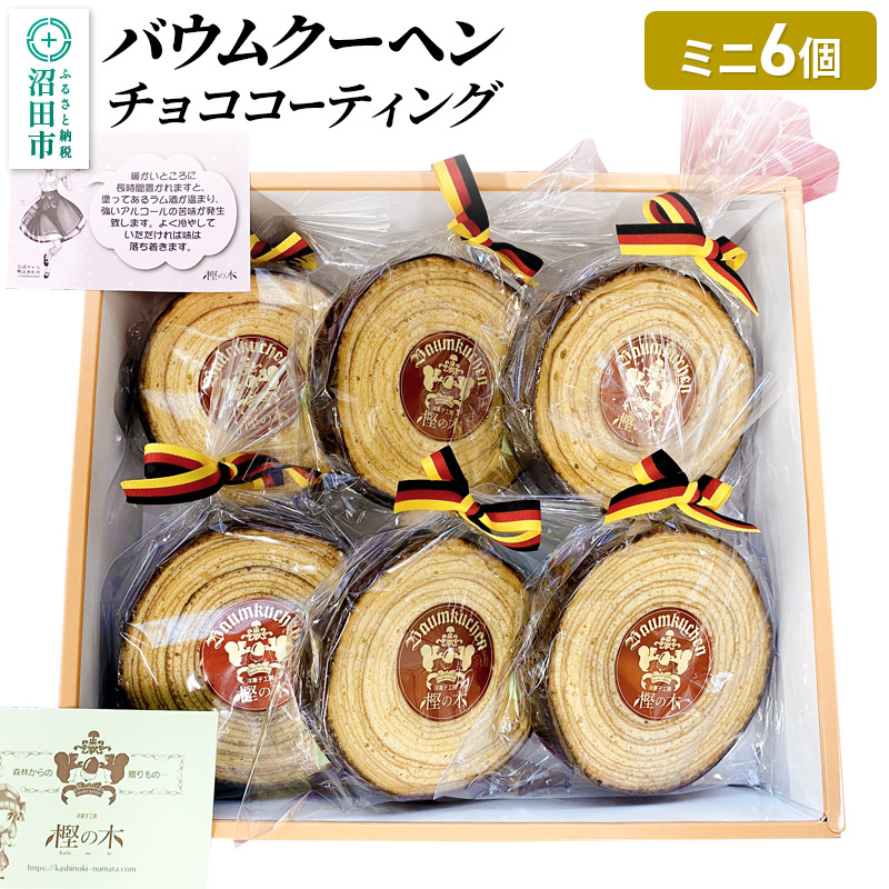 バウムクーヘン(チョココーティング)ミニサイズ6個 直径約10cm×厚み約3cm群馬県沼田市29000菓子・スイーツ