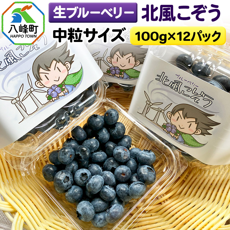 y2025Nnstzu[x[()ukv 100g×12pbNHc28000ʕEt[c̑ ʕEt[c