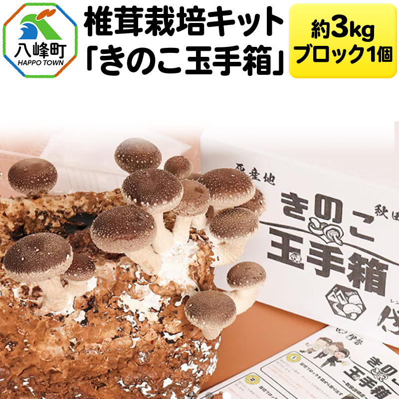 椎茸栽培キット「きのこ玉手箱」約3kg ブロック×1個秋田県八峰町10000野菜・きのこきのこ
