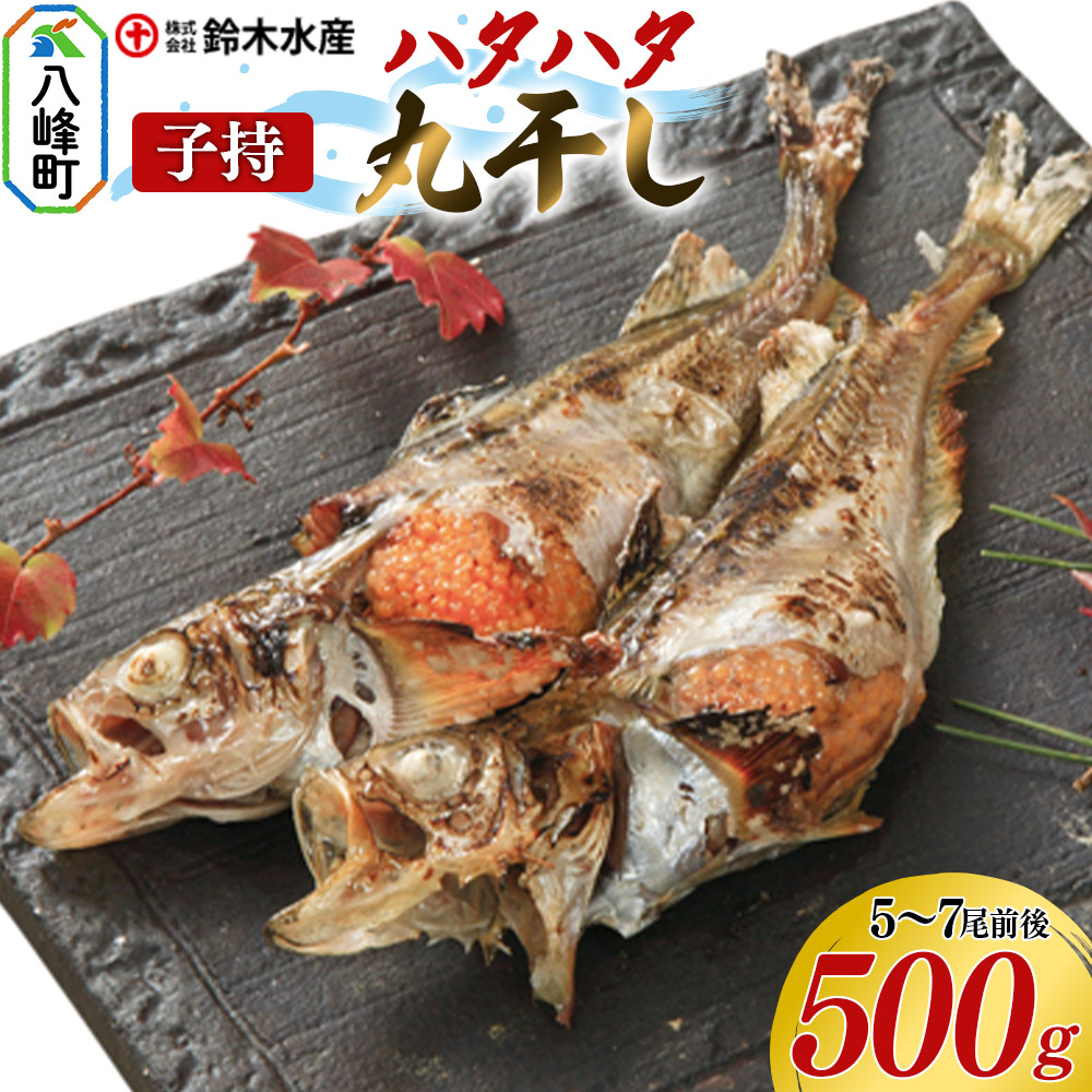 子持 ハタハタ 丸干し 5〜7尾前後 500g はたはた 鰰 子持 はたはた 子持ハタハタ 丸干し ぶりこ 鈴木水産 秋田県 八峰町秋田県八峰町12000魚介・海産物その他 魚介・海産物