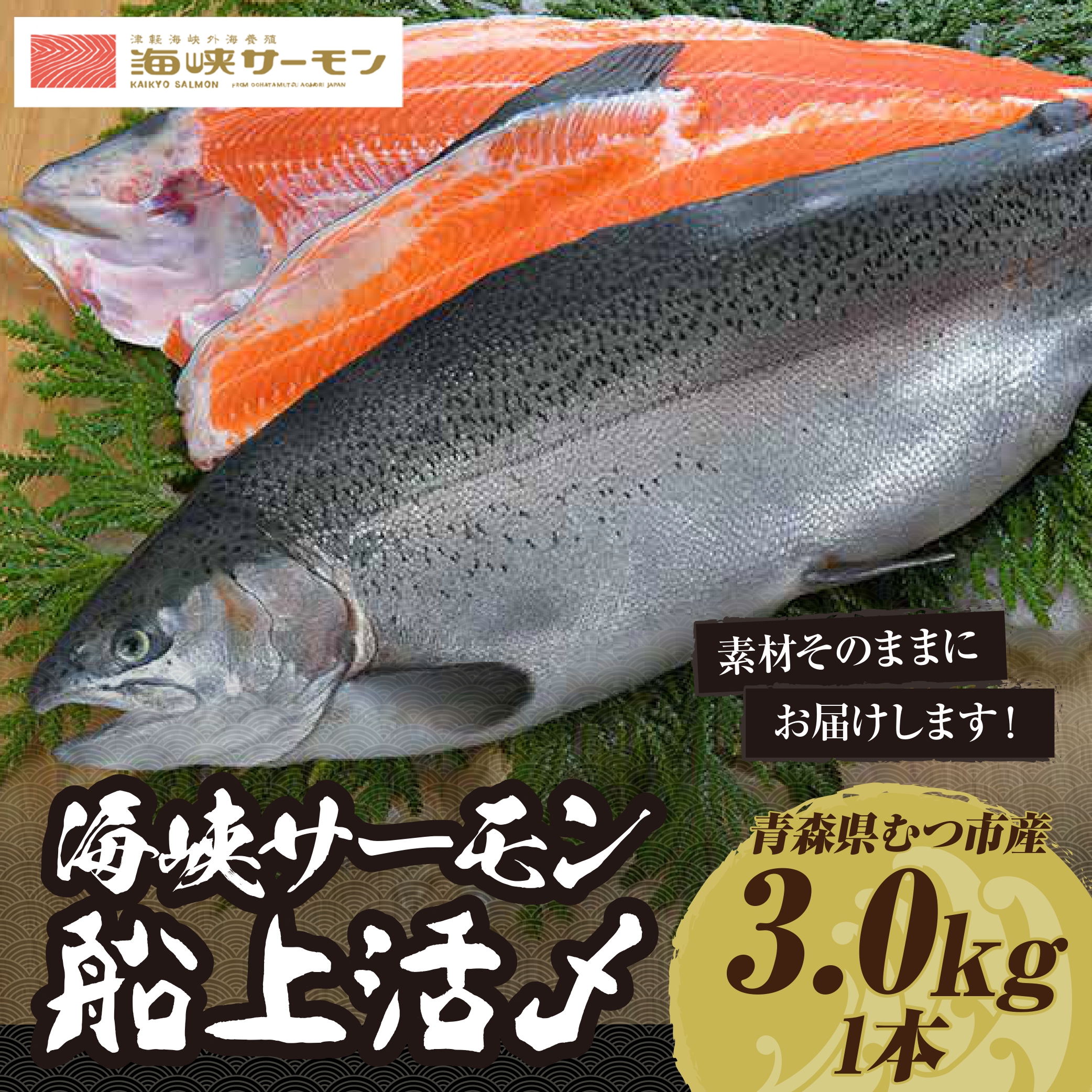yԌ蔭zCT[D㊈Y3.0kg1{ (①)Xނs28000ECYN