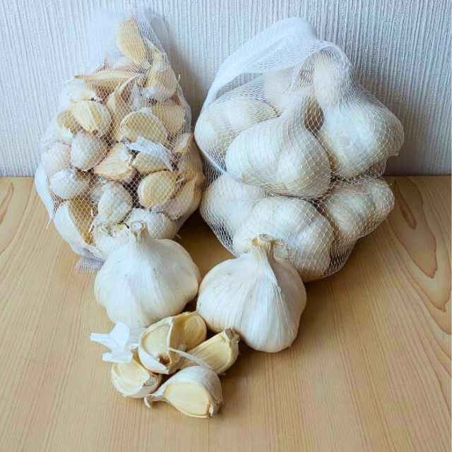 jjN o250g lbgƑʂ1lbg(2LTCY)ZbgXނs14000؁Ê̑ 