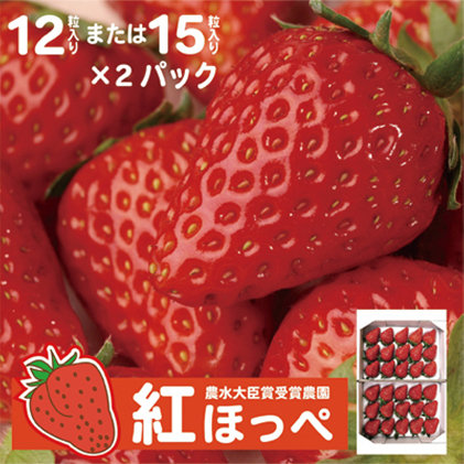 【配達地域限定】農水大臣賞受賞農園からお届け イチゴ大粒・紅ほっぺ 2パック  配送:2026年2月上旬頃より順次発送 果物類 いちご 苺 静岡県袋井市22000果物・フルーツいちご