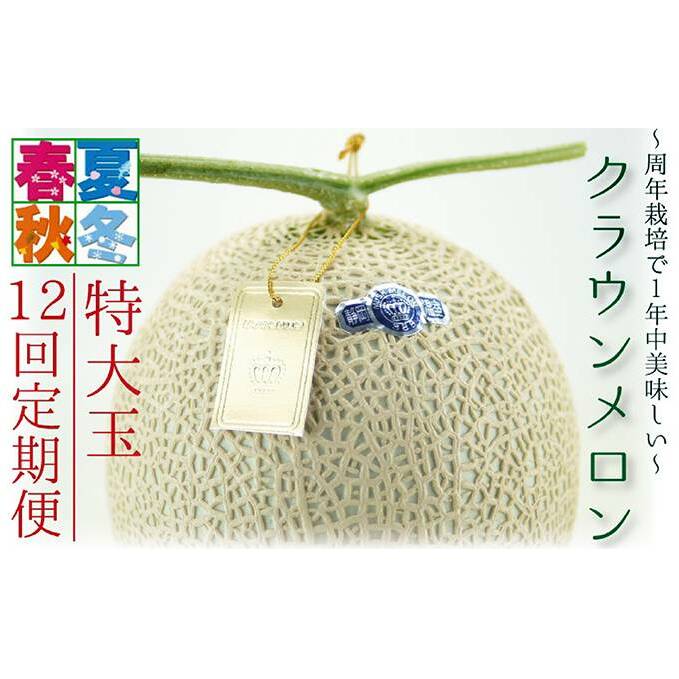 【12ヶ月定期便】クラウンメロン(白等級)特大玉 1玉入 静岡県袋井市226000果物・フルーツメロン・スイカ