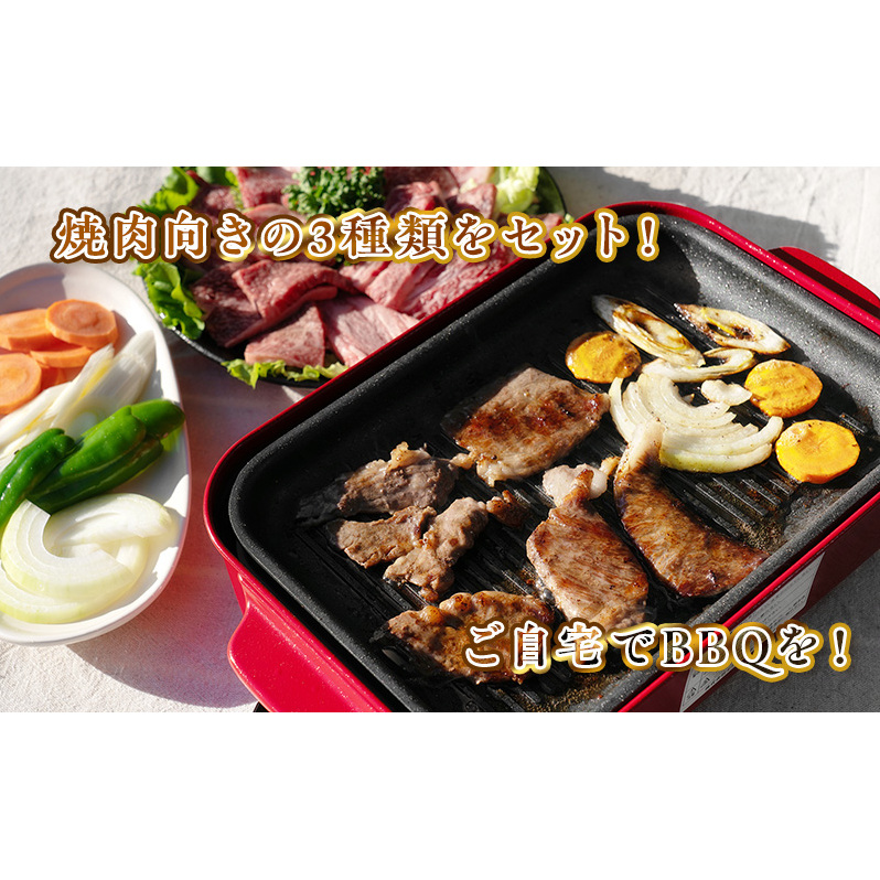 【数量限定】稀少!遠州袋井牛 焼肉セット 3種 計2.4kg 贅沢  ヘルシー  料理 グルメ 肉 BBQ アウトドア 人気 厳選 袋井市 お肉 牛肉 ロース バラ(カルビ) バーベキュー 静岡県袋井市49000肉牛肉