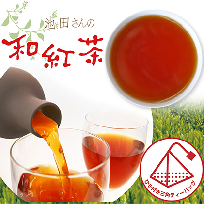 池田さんの和紅茶(ひも付きマグ用)10袋セット おすすめ べにふうき ティーバッグ 簡単 便利 ギフト 贈り物 人気 厳選 袋井市 静岡県袋井市24000お茶・飲料コーヒー・紅茶