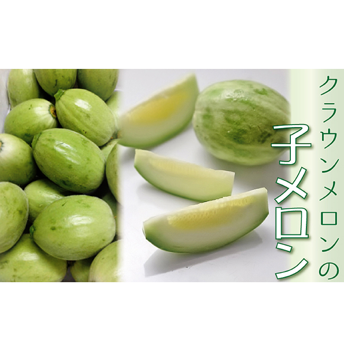 【お中元対応】『クラウンメロンの子メロン 4kg』 人気 厳選 ギフト 贈り物 デザート グルメ フルーツ 果物 袋井市 果物類 メロン青肉 静岡県袋井市9000果物・フルーツメロン・スイカ