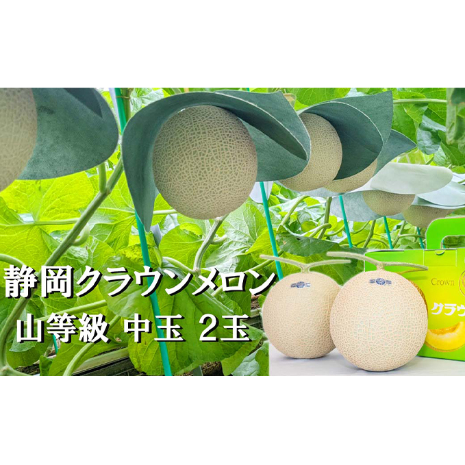 NEyiRjzʁi1.3kgOj2ʓlC I Mtg 蕨 fU[g O ʕ ܈s ʕ  t[c É܈s44000ʕEt[cEXC