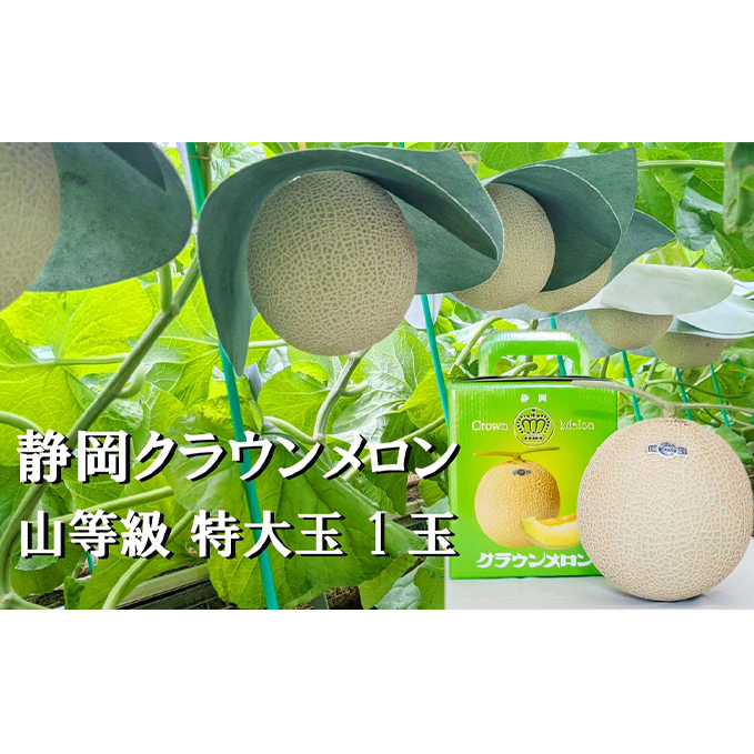 クラウンメロン【上(山等級)】特大玉(1.5kg前後)1玉入り 人気 厳選 ギフト 贈り物 デザート グルメ 果物 袋井市 果物類 メロン青肉 フルーツ 静岡県袋井市42000果物・フルーツメロン・ス