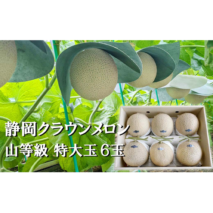 クラウンメロン【上(山等級)】特大玉(1.5kg前後)6玉入り 人気 厳選 ギフト 贈り物 デザート グルメ 果物 袋井市 果物類 メロン青肉 フルーツ 静岡県袋井市250000果物・フルーツメロン・ス