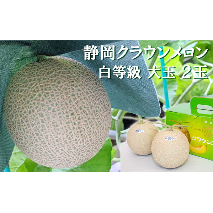 クラウンメロン【並(白等級)】大玉(1.4kg前後)2玉入り 人気 厳選 ギフト 贈り物 デザート グルメ 果物 袋井市 果物類 メロン青肉 フルーツ 静岡県袋井市34000果物・フルーツメロン・スイ