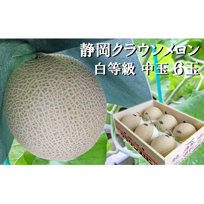 クラウンメロン【並(白等級)】中玉(1.3kg前後)6玉入り 人気 厳選 ギフト 贈り物 デザート グルメ 果物 袋井市 果物類 メロン青肉 フルーツ 静岡県袋井市90000果物・フルーツメロン・スイ