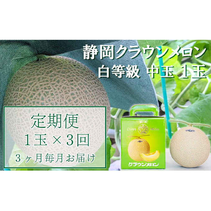 クラウンメロン【並(白等級)】中玉(1.3kg前後)1玉入り 定期便3ヶ月 人気 厳選 ギフト 贈り物 デザート グルメ 果物 袋井市 果物類 メロン青肉 フルーツ 3カ月 3回 静岡県袋井市49000果物・