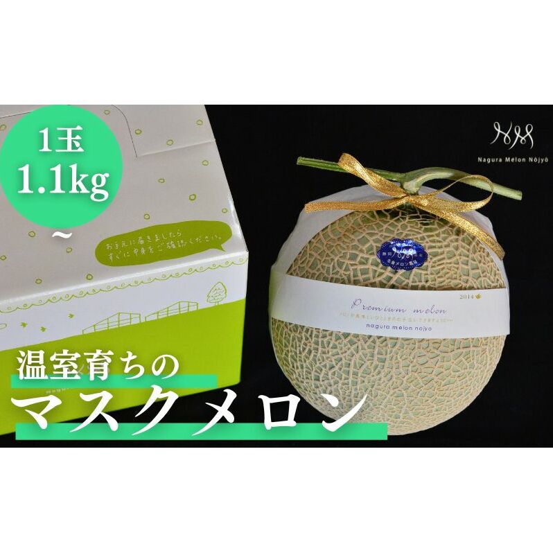 【先行予約】温室育ちのマスクメロン 良品 1玉 人気 厳選 ギフト 贈り物 デザート グルメ フルーツ 果物 袋井市 果物類 青肉 糖度15度 静岡県袋井市13000果物・フルーツメロン・スイカ