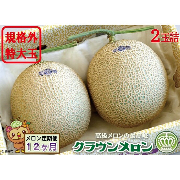 【12ヶ月定期便】クラウンメロン 規格外特大玉(約1.7kg)2玉入 果物類 メロン青肉 静岡県袋井市360000果物・フルーツメロン・スイカ