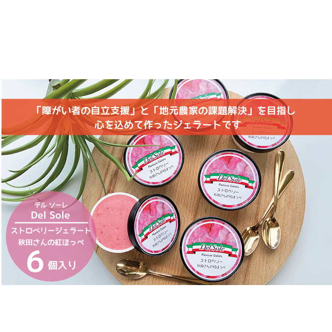 f\[@WF[gXgx[6@_ َq XC[c ЂXC[c fU[g H  ACX nHގgp t[cWF[g 䕃WF[g É܈s12000َq