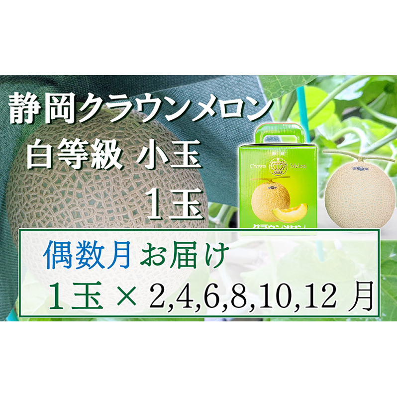 【偶数定期便】クラウンメロン【並(白等級)】小玉(1.1kg前後)1玉入り 果物 メロン青肉 フルーツ デザート 高級メロンブランド 高級メロン ブランドメロン 静岡県袋井市71000果物・フルーツメ
