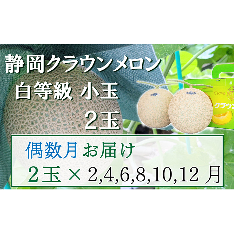 【偶数定期便】クラウンメロン【並(白等級)】小玉(1.1kg前後)2玉入り 果物 メロン青肉 フルーツ デザート 高級メロンブランド 高級メロン ブランドメロン 静岡県袋井市124000果物・フルーツメ